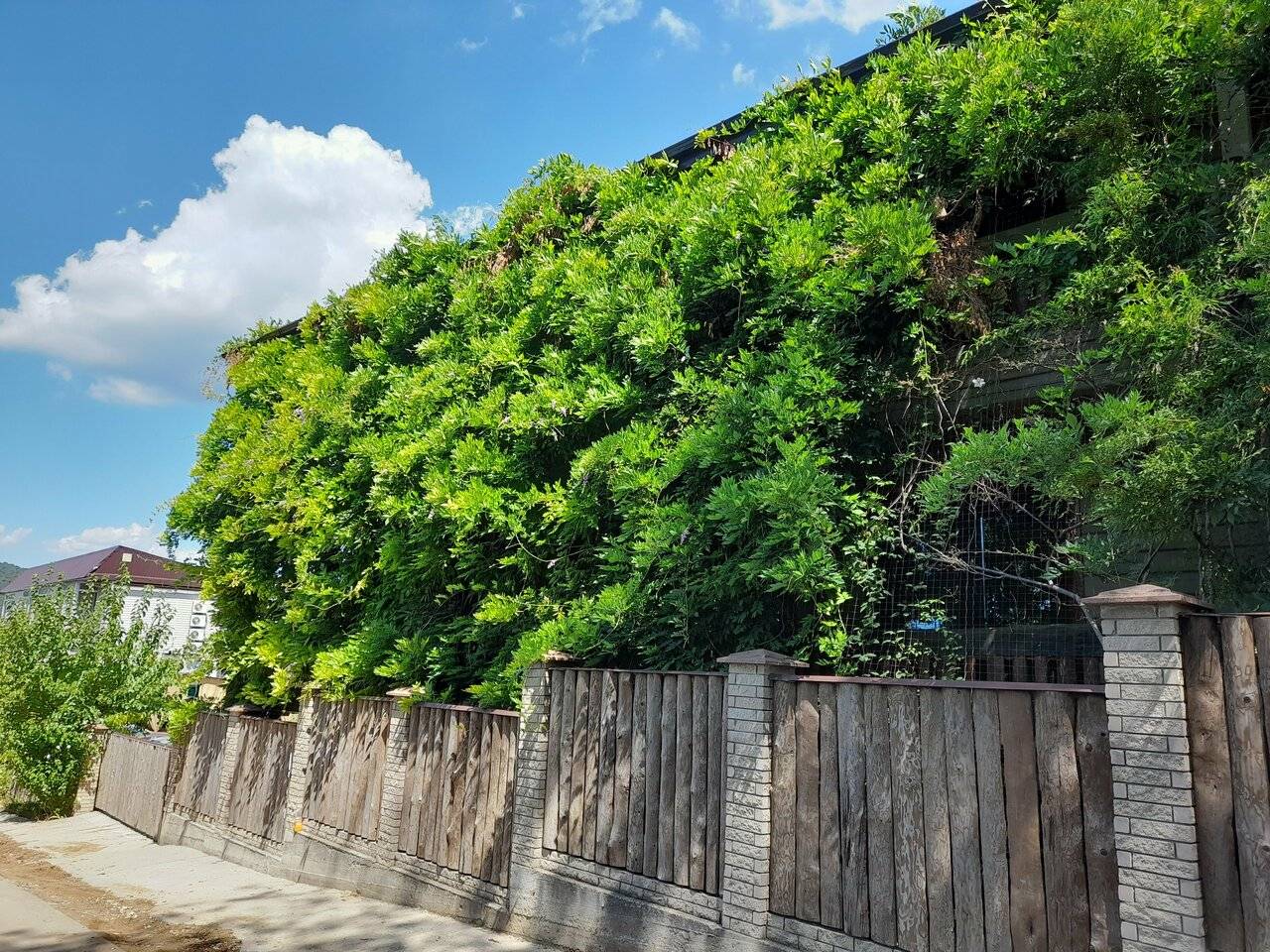 Фото Гостевого дома Мама Джан Архипо-Осиповка 79